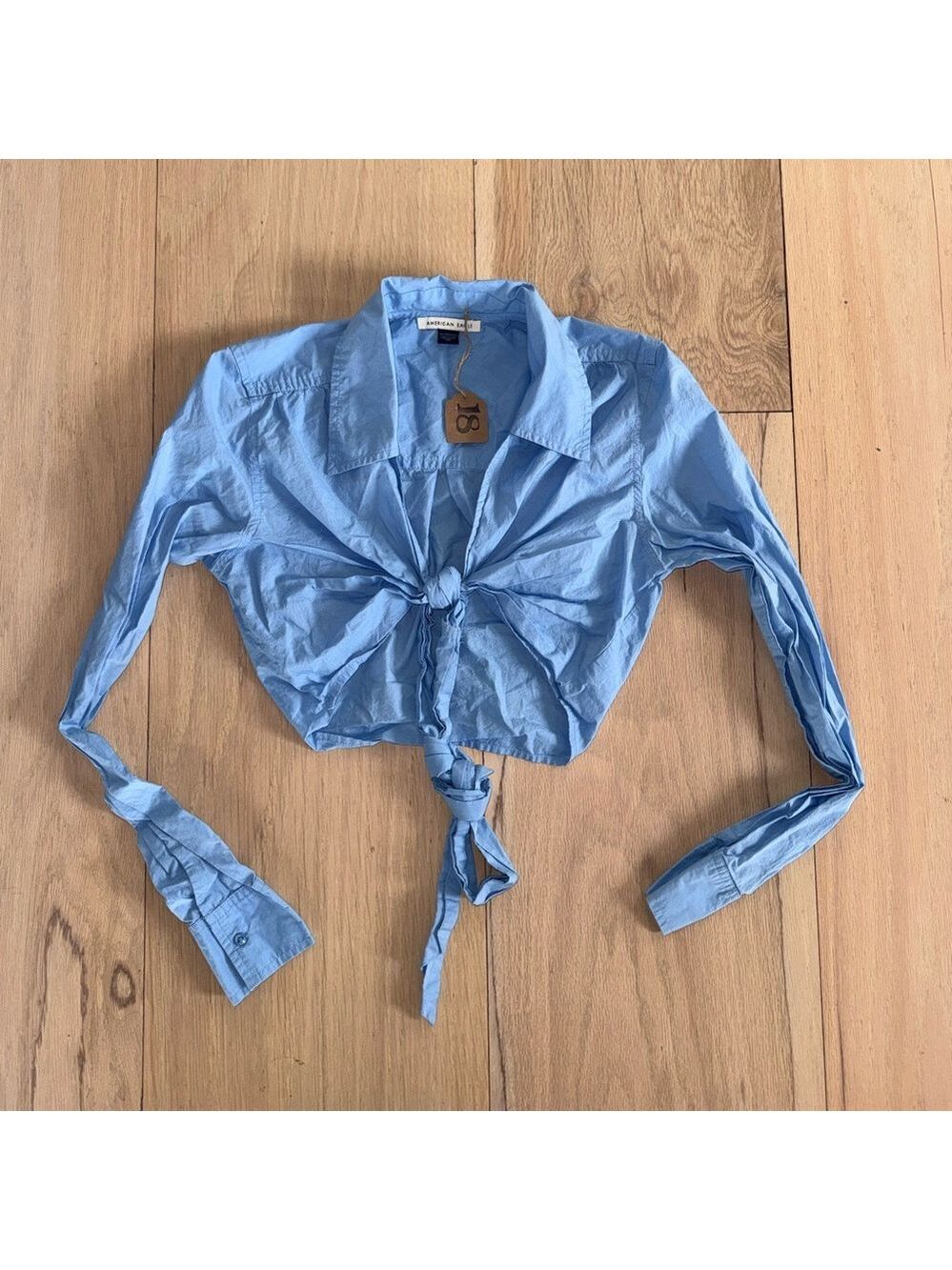 American Eagle Outfitters Light Blue Cropped Blouse Size XS
